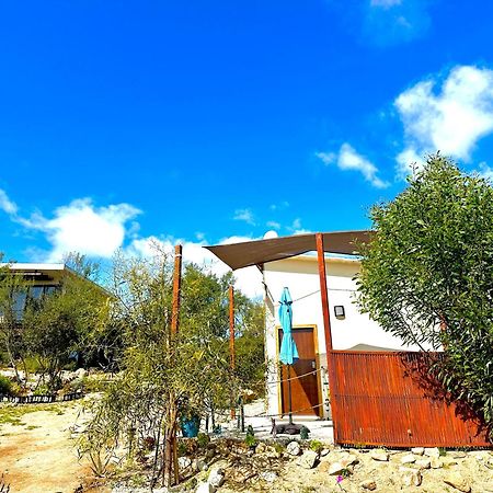 Oasis 444 Otel San Marcos  Dış mekan fotoğraf
