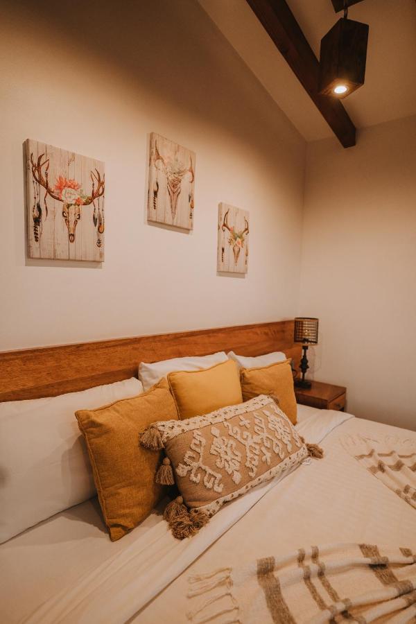 Oasis 444 Otel San Marcos  Dış mekan fotoğraf